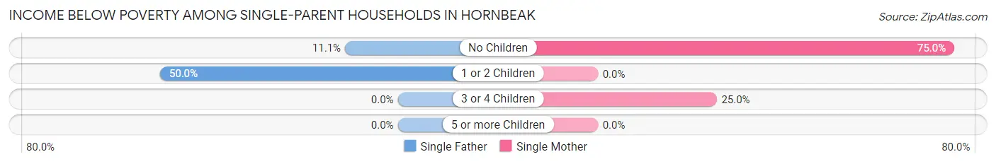Income Below Poverty Among Single-Parent Households in Hornbeak