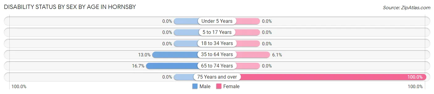 Disability Status by Sex by Age in Hornsby