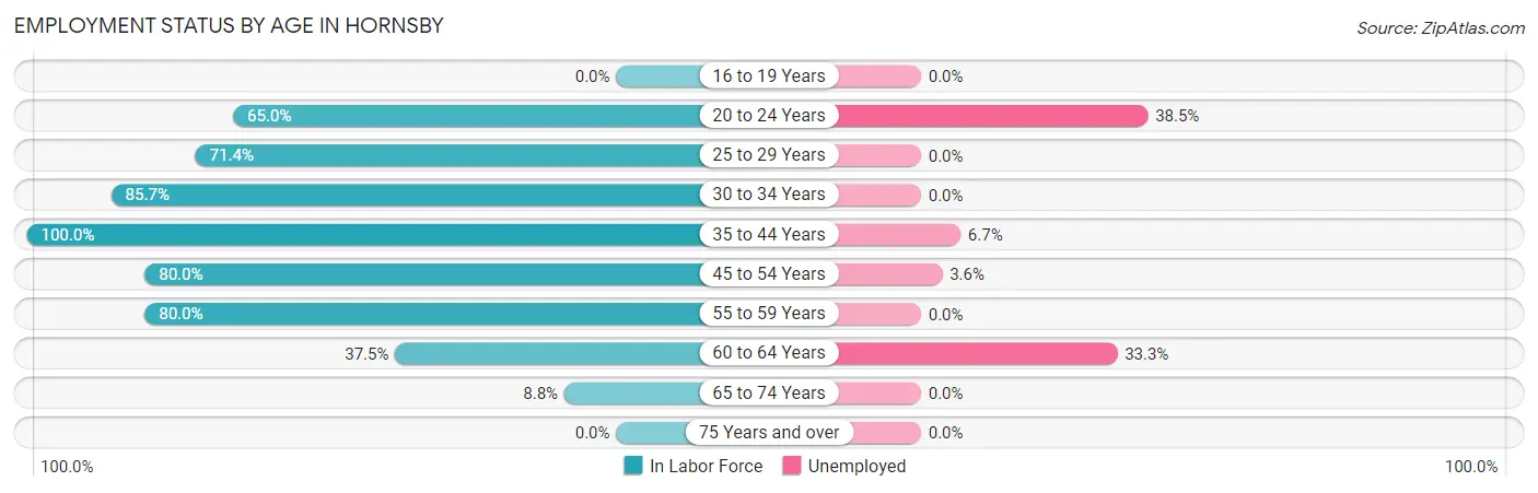Employment Status by Age in Hornsby