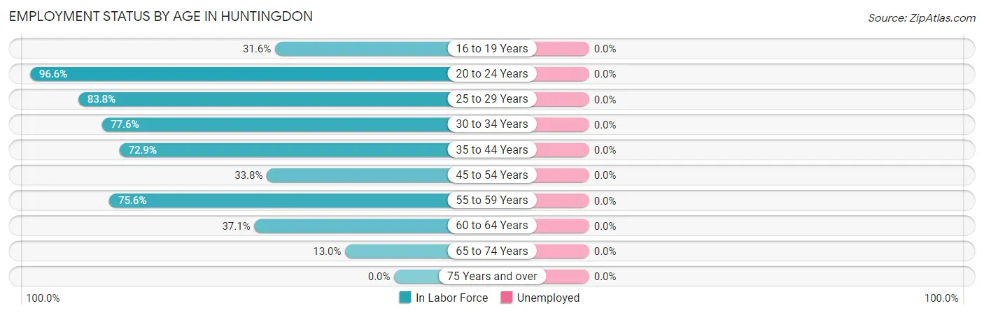 Employment Status by Age in Huntingdon
