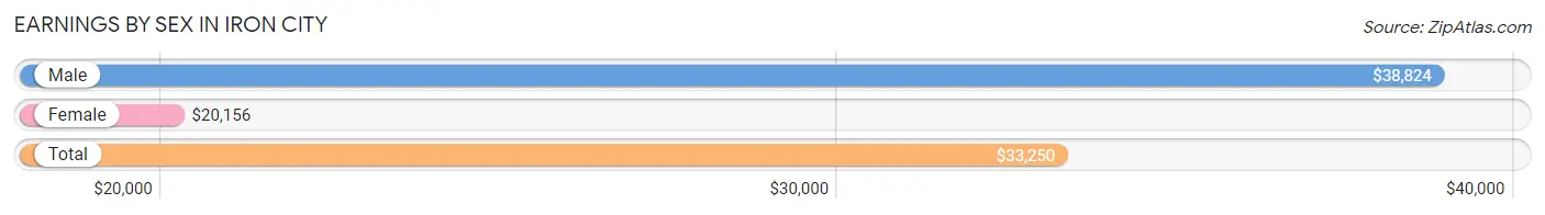 Earnings by Sex in Iron City