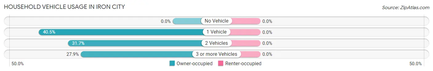 Household Vehicle Usage in Iron City