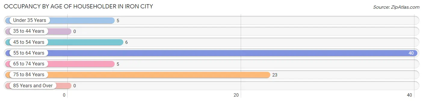 Occupancy by Age of Householder in Iron City