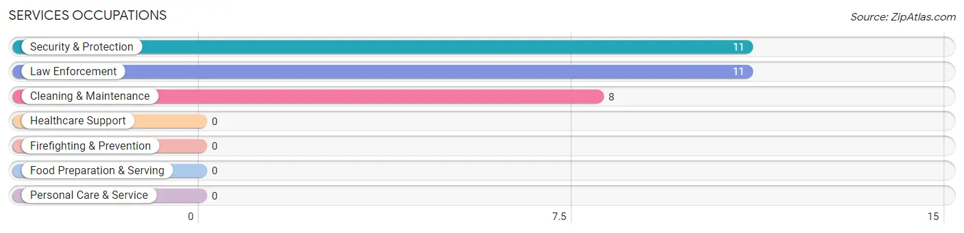 Services Occupations in Iron City