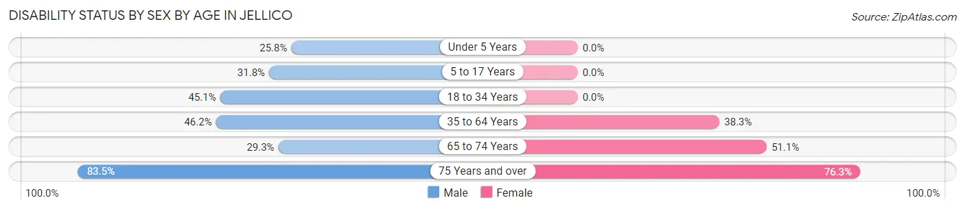 Disability Status by Sex by Age in Jellico