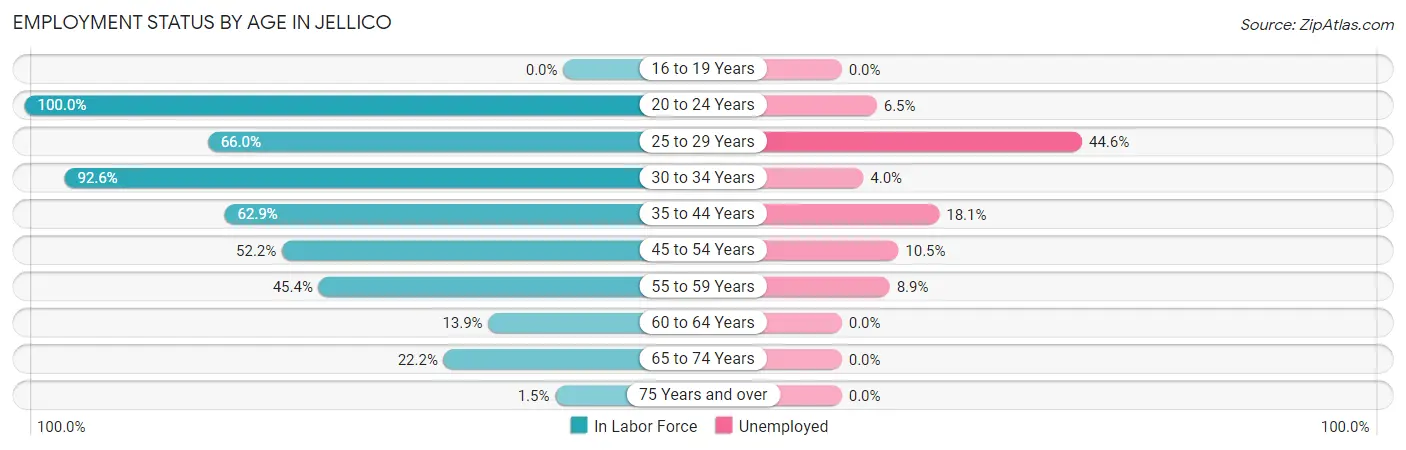 Employment Status by Age in Jellico