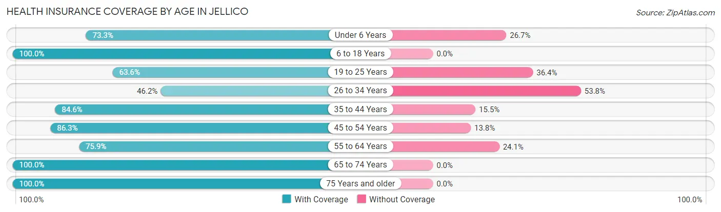 Health Insurance Coverage by Age in Jellico