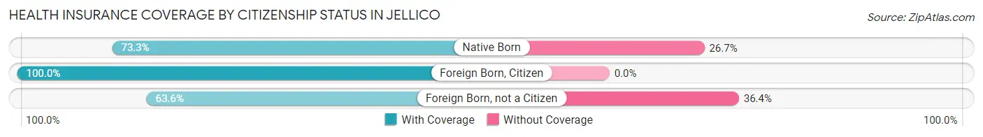 Health Insurance Coverage by Citizenship Status in Jellico