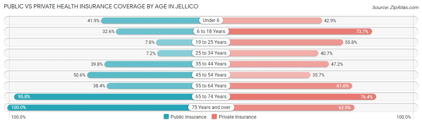 Public vs Private Health Insurance Coverage by Age in Jellico