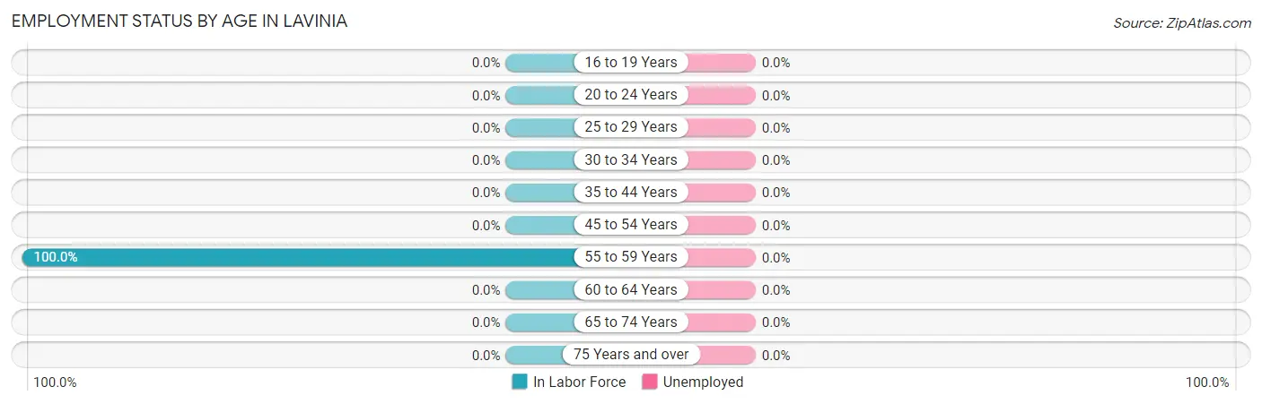 Employment Status by Age in Lavinia