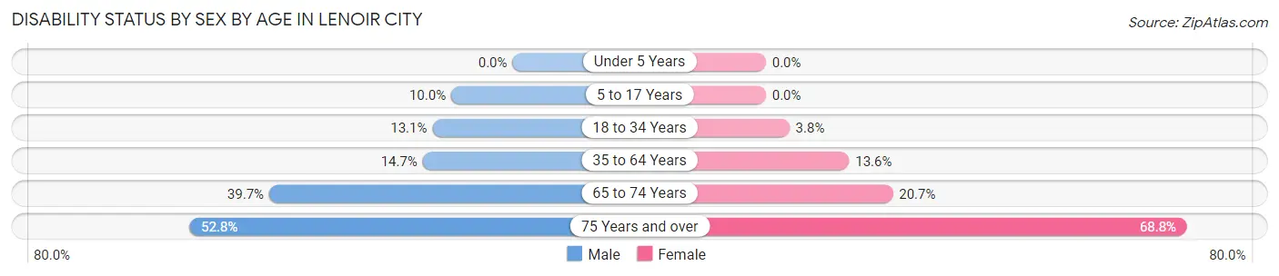 Disability Status by Sex by Age in Lenoir City