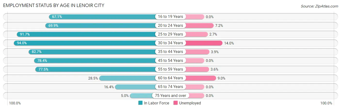 Employment Status by Age in Lenoir City