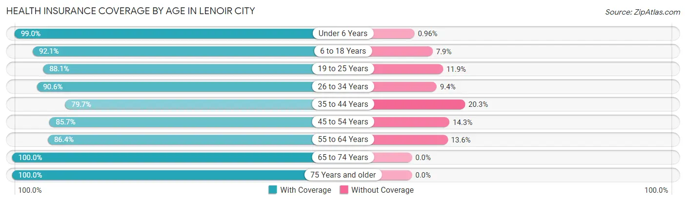 Health Insurance Coverage by Age in Lenoir City