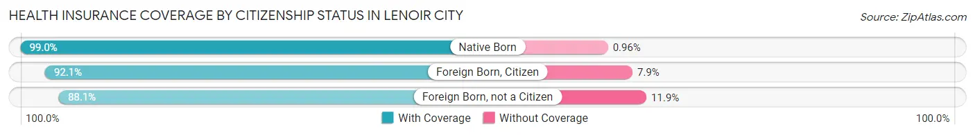 Health Insurance Coverage by Citizenship Status in Lenoir City