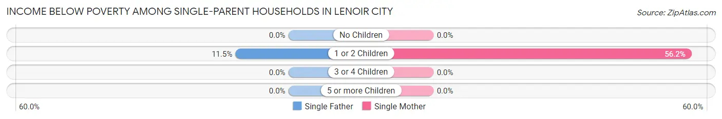 Income Below Poverty Among Single-Parent Households in Lenoir City