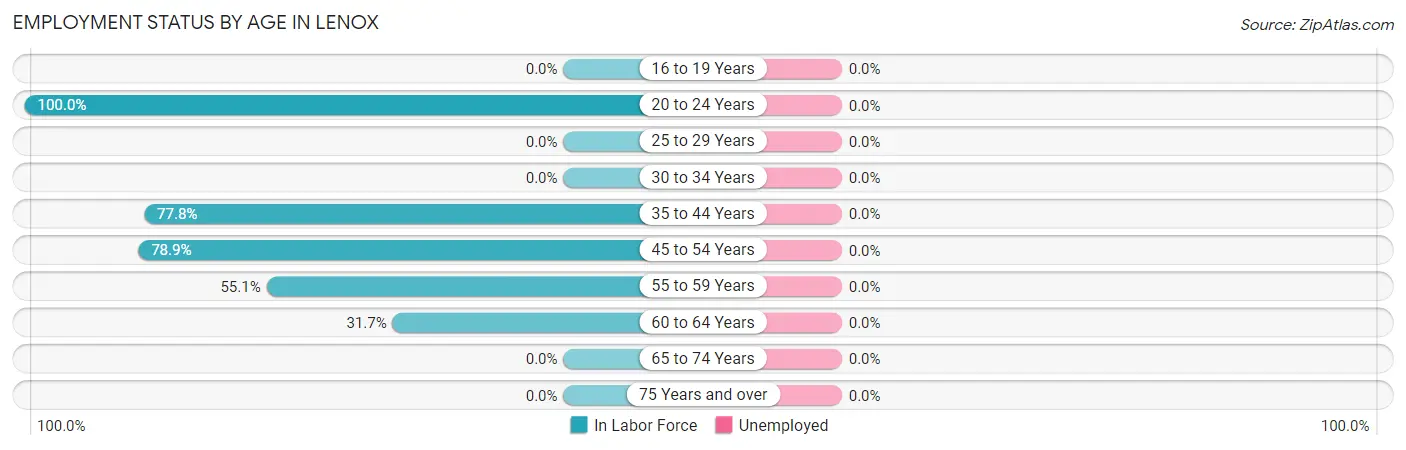 Employment Status by Age in Lenox
