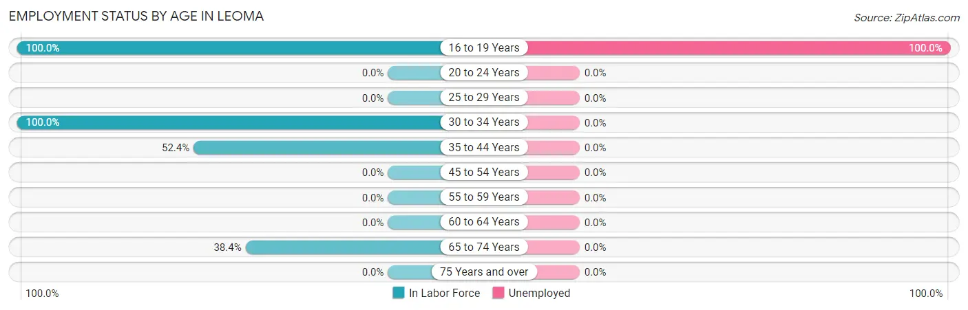 Employment Status by Age in Leoma