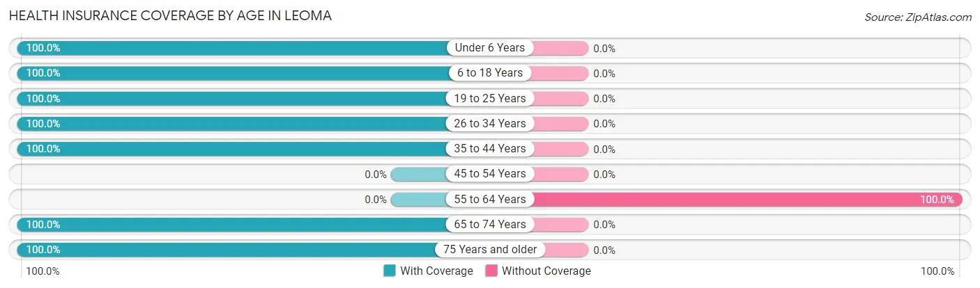Health Insurance Coverage by Age in Leoma
