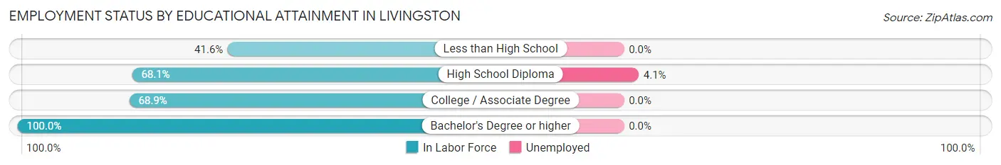 Employment Status by Educational Attainment in Livingston