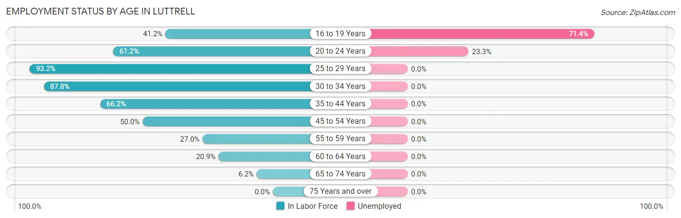 Employment Status by Age in Luttrell