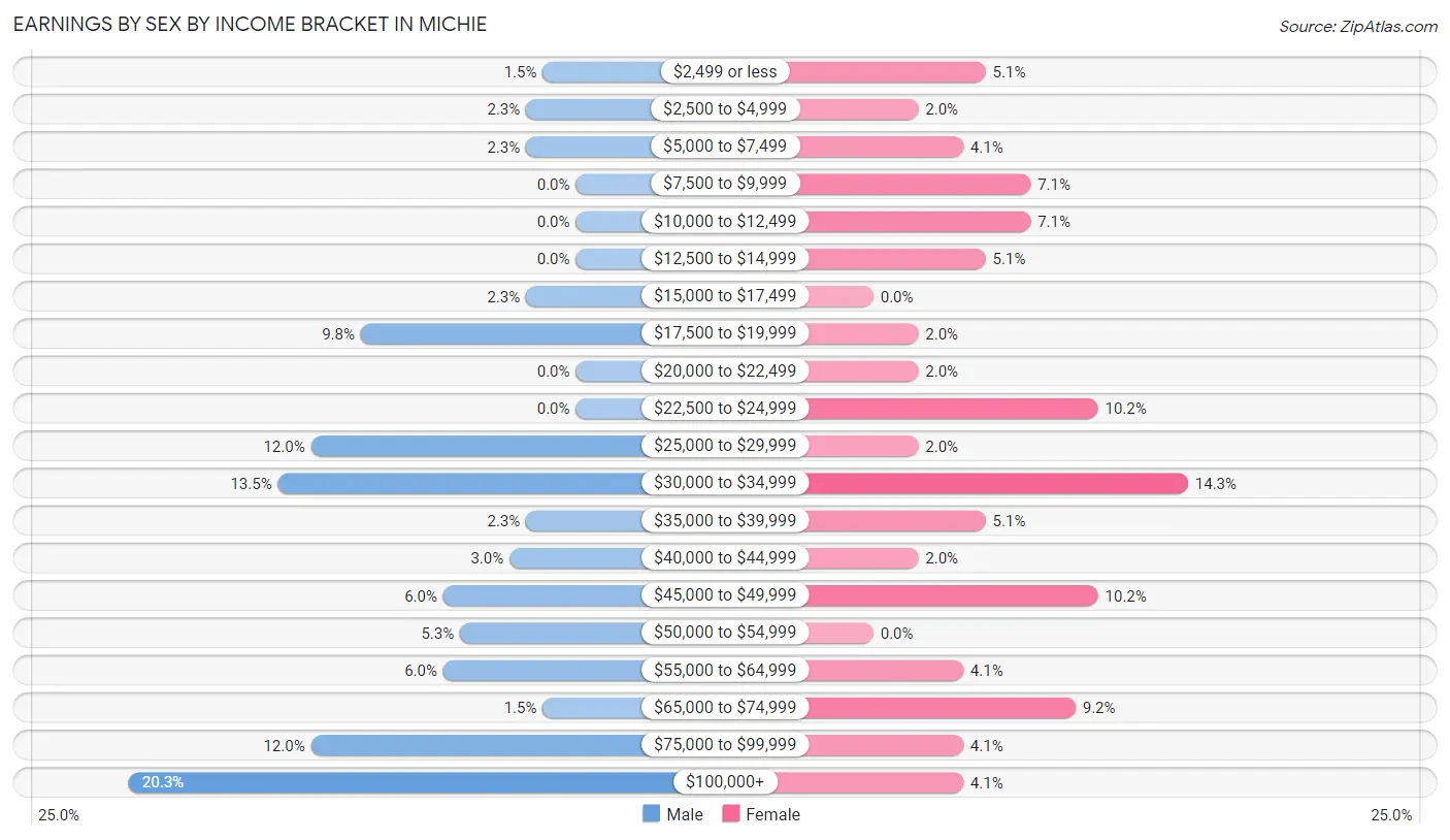 Earnings by Sex by Income Bracket in Michie