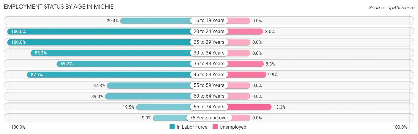 Employment Status by Age in Michie