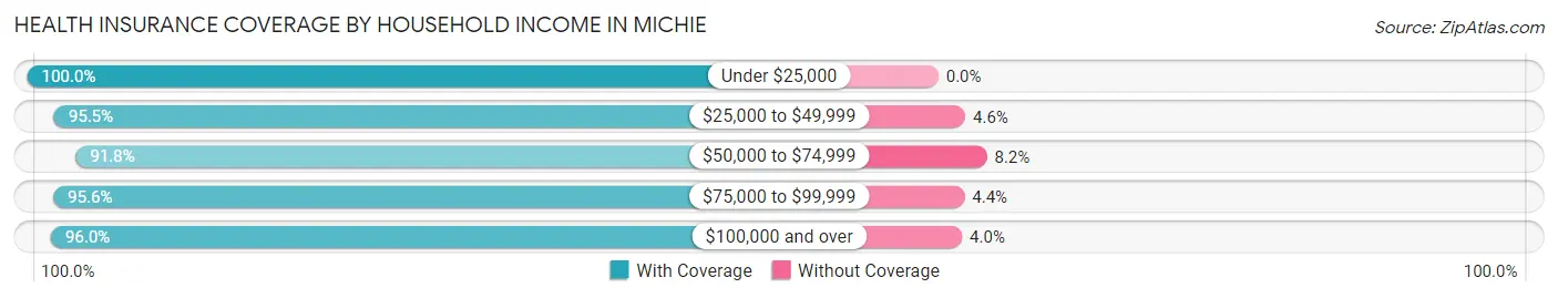 Health Insurance Coverage by Household Income in Michie
