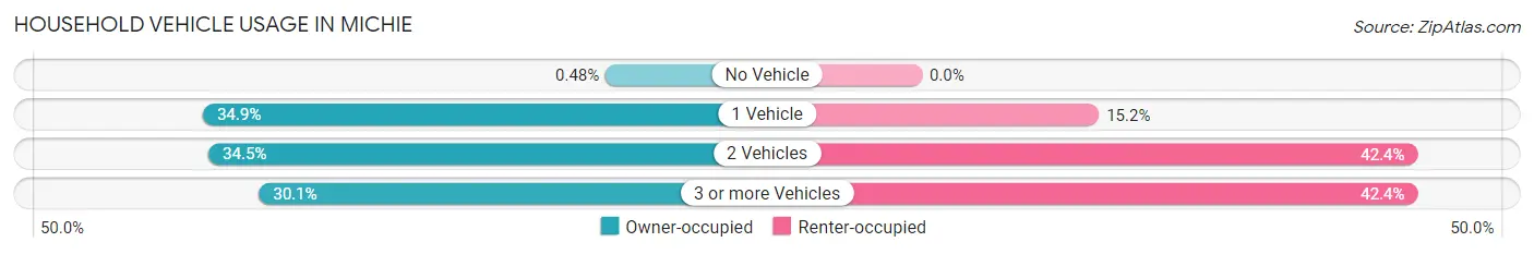 Household Vehicle Usage in Michie