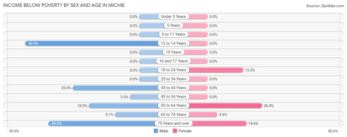 Income Below Poverty by Sex and Age in Michie