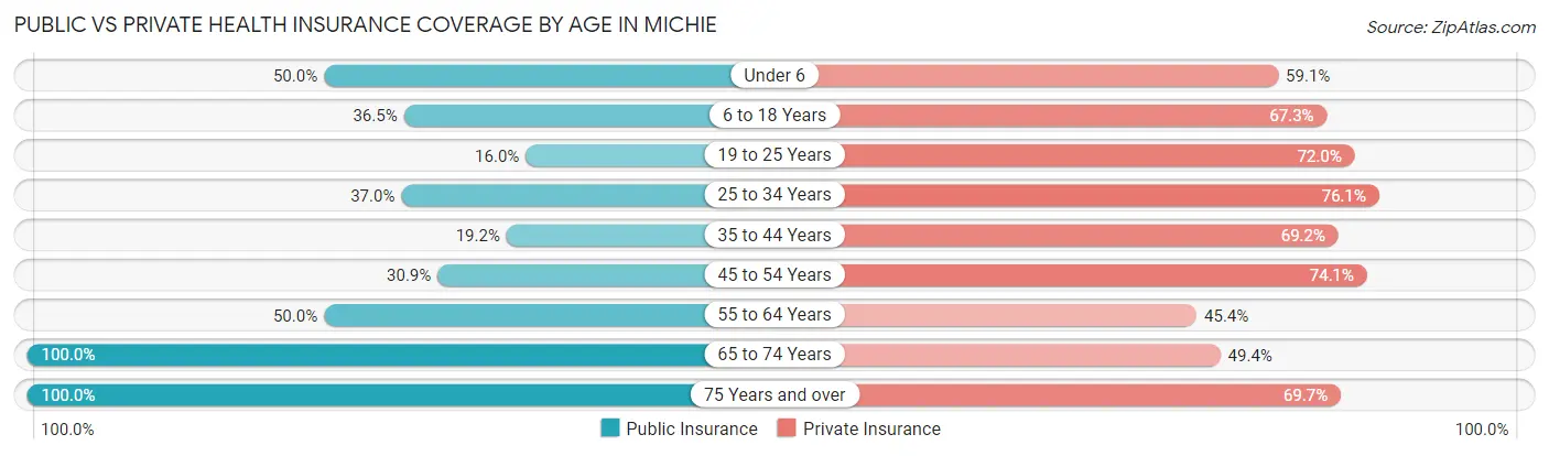 Public vs Private Health Insurance Coverage by Age in Michie