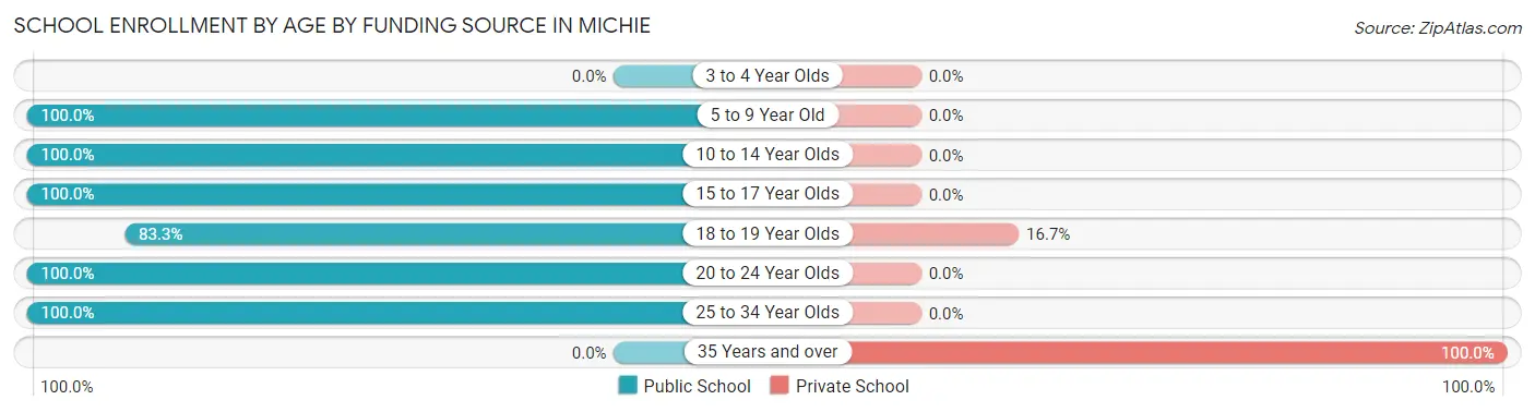 School Enrollment by Age by Funding Source in Michie