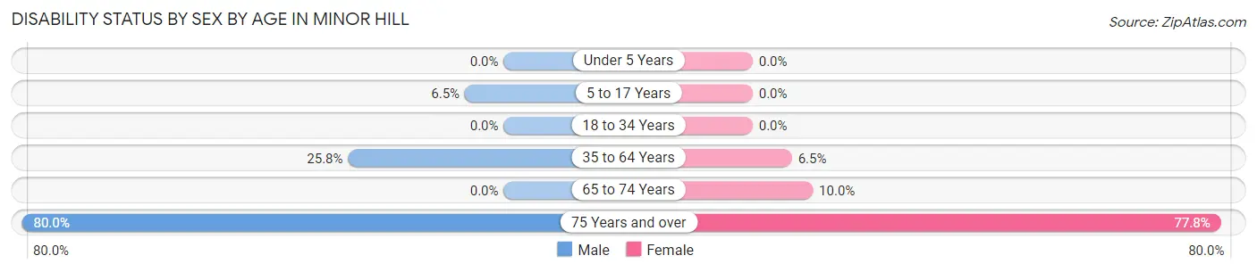 Disability Status by Sex by Age in Minor Hill