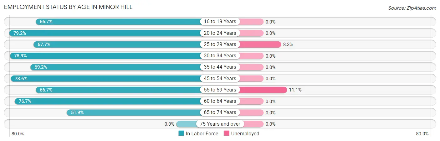 Employment Status by Age in Minor Hill