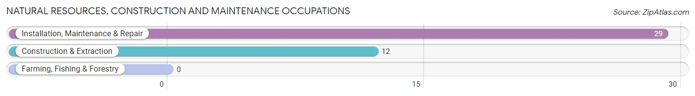 Natural Resources, Construction and Maintenance Occupations in Mooresburg