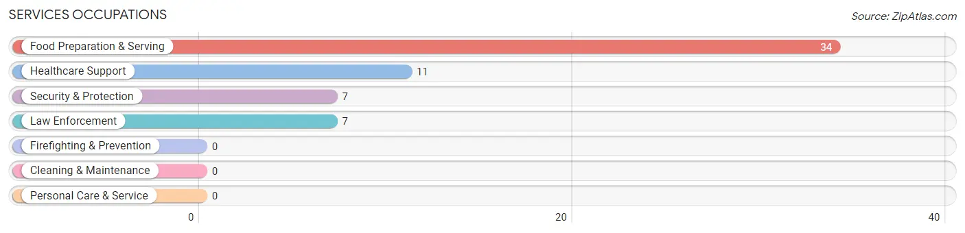 Services Occupations in Mooresburg