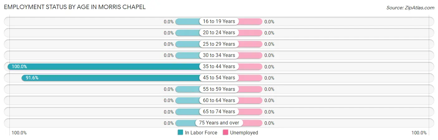 Employment Status by Age in Morris Chapel
