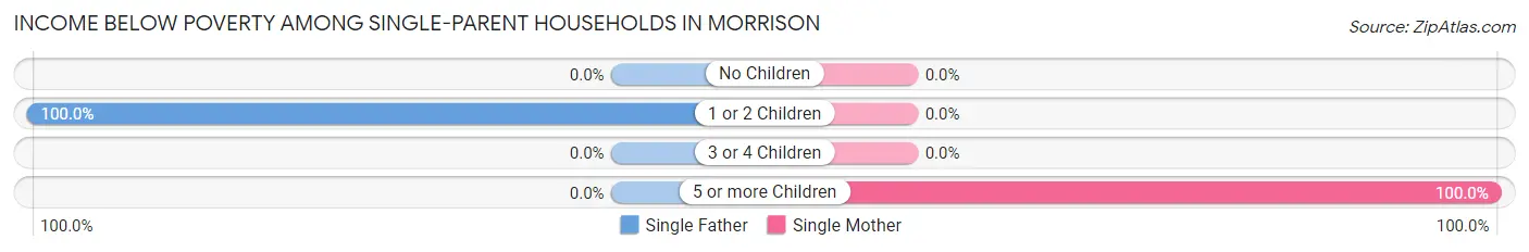 Income Below Poverty Among Single-Parent Households in Morrison