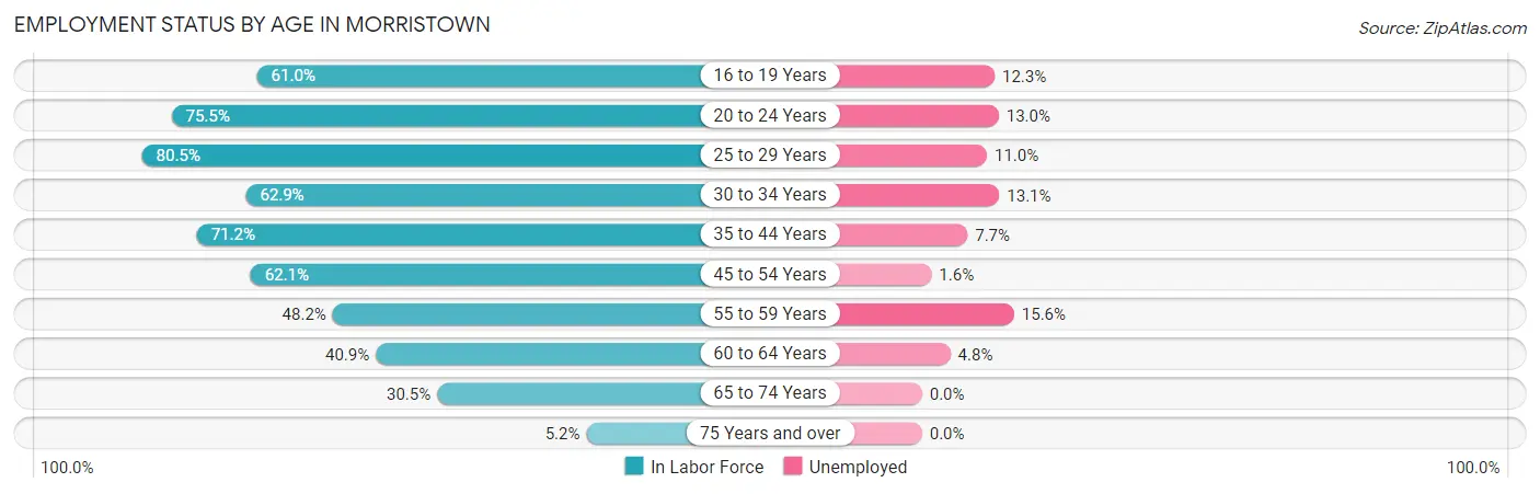Employment Status by Age in Morristown