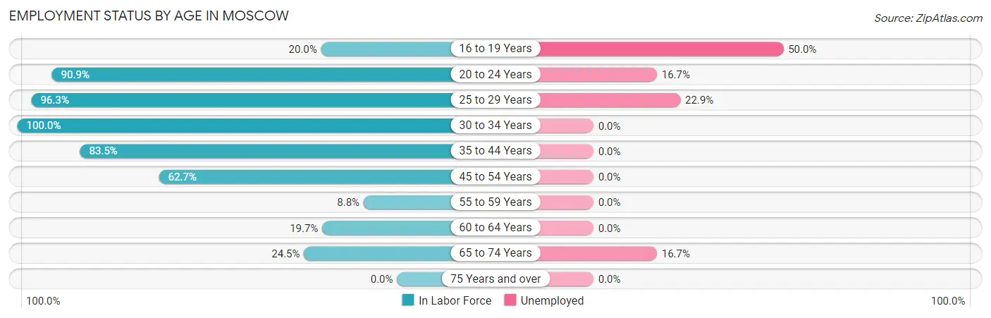 Employment Status by Age in Moscow