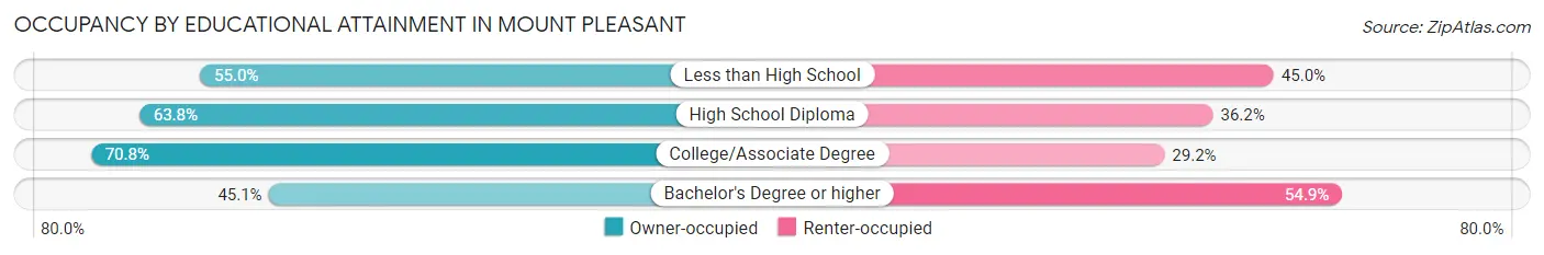 Occupancy by Educational Attainment in Mount Pleasant