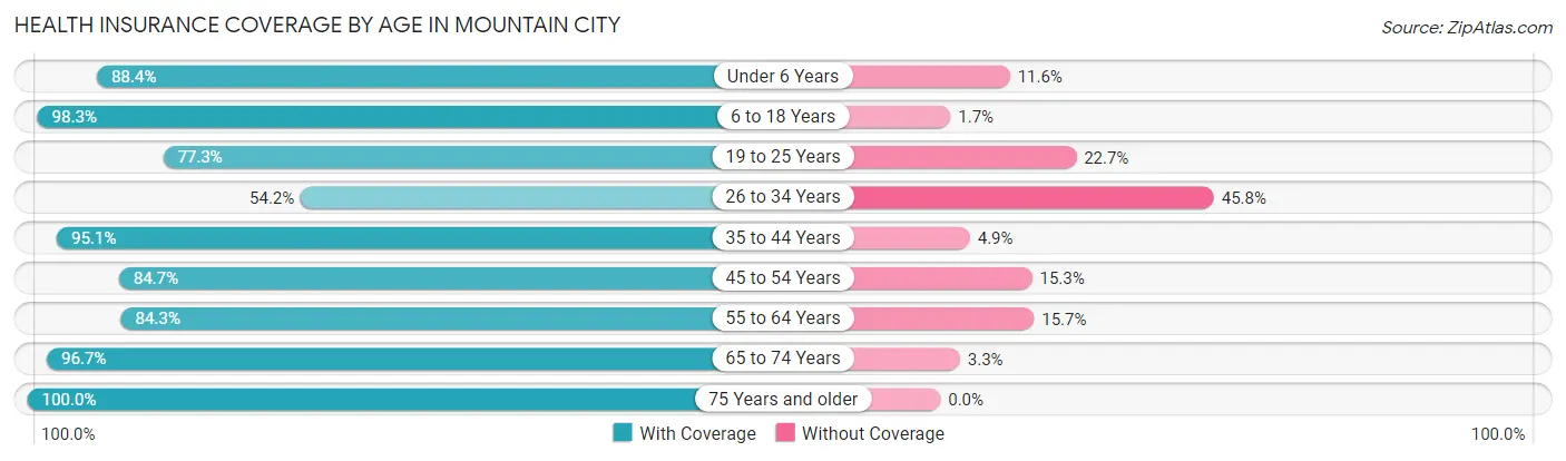 Health Insurance Coverage by Age in Mountain City
