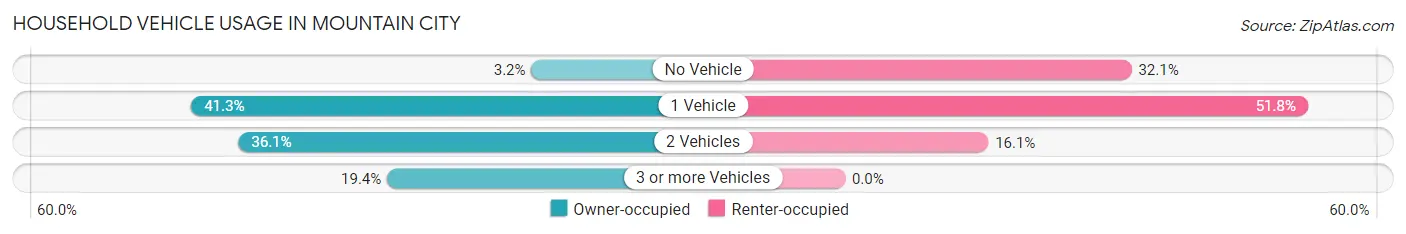 Household Vehicle Usage in Mountain City
