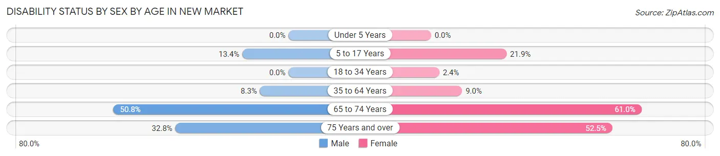 Disability Status by Sex by Age in New Market