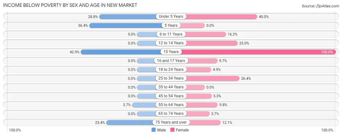 Income Below Poverty by Sex and Age in New Market