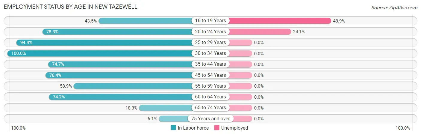 Employment Status by Age in New Tazewell