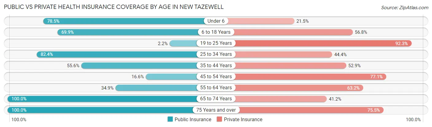 Public vs Private Health Insurance Coverage by Age in New Tazewell