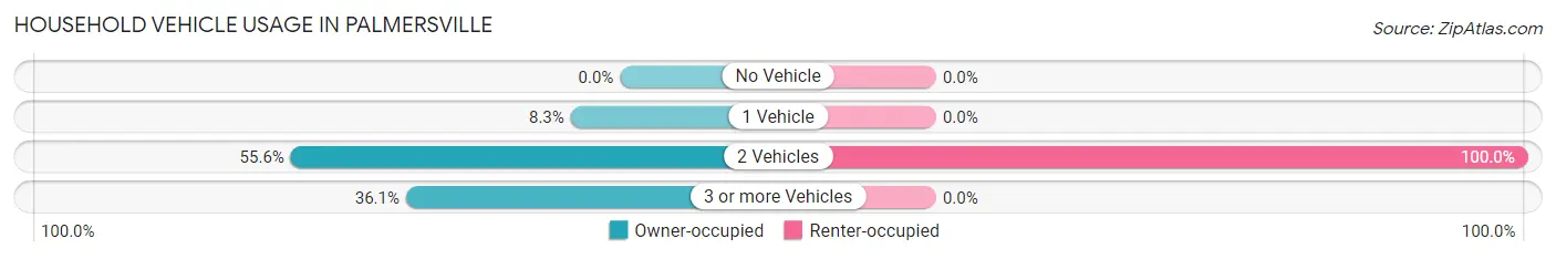 Household Vehicle Usage in Palmersville