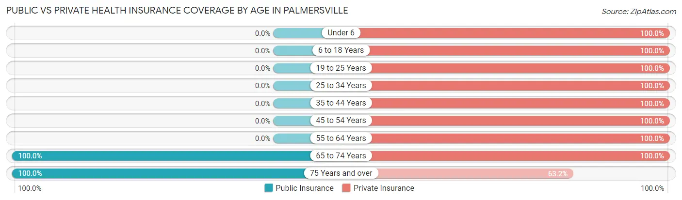 Public vs Private Health Insurance Coverage by Age in Palmersville