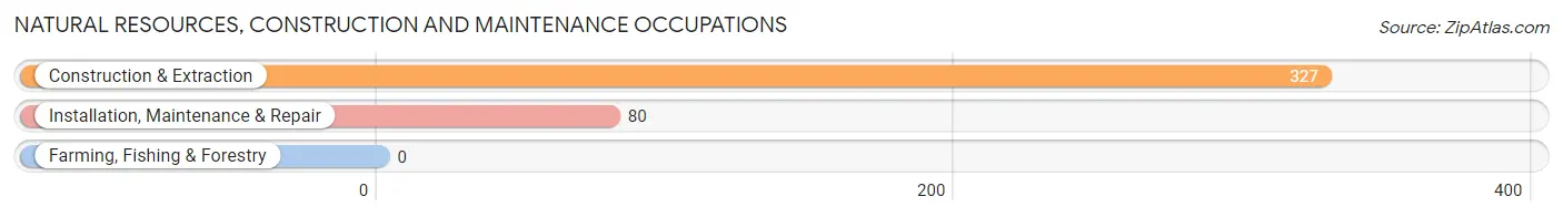 Natural Resources, Construction and Maintenance Occupations in Paris