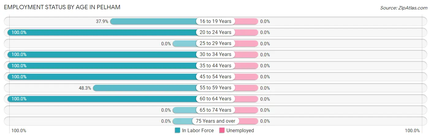 Employment Status by Age in Pelham